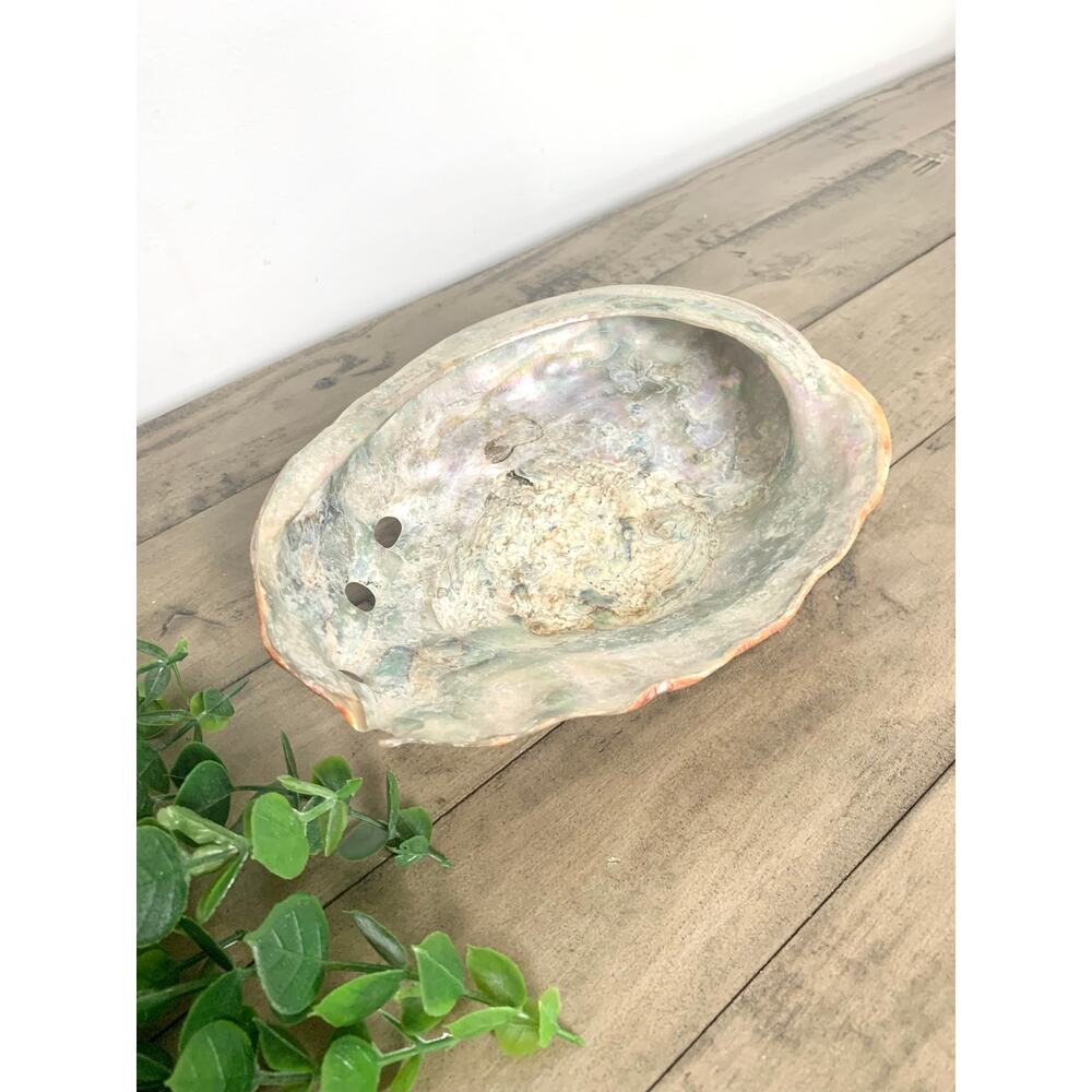 Large Natural Abalone Shell Bowl Iridescent Coastal Smudging Seashell Cottage